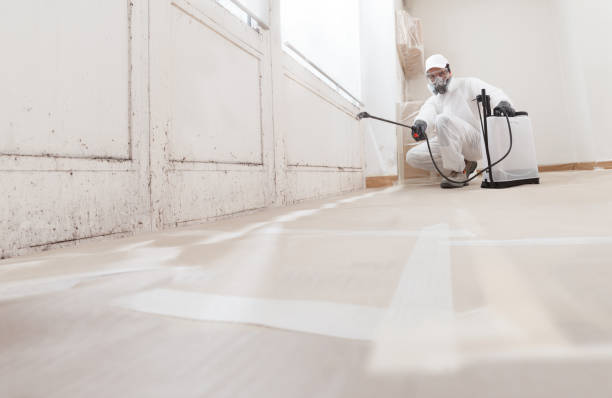 24/7 Emergency Commercial Mold Remediation experts in Wheaton, MD